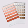 PANTONE METALLICS Coated – Chips Book - campioni f.to 3x2